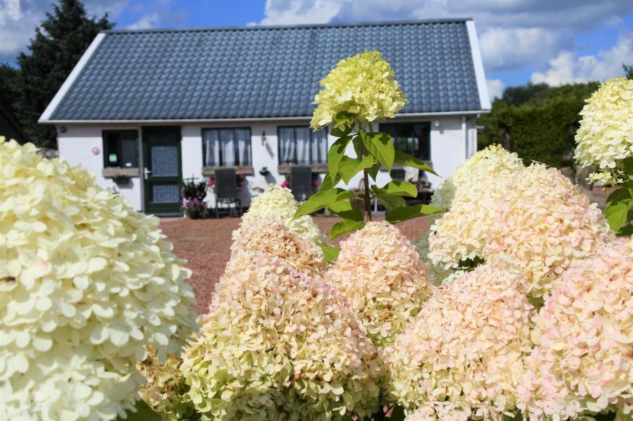 Sfeervol Appartement Het Knooppunt Nuis Exterior foto